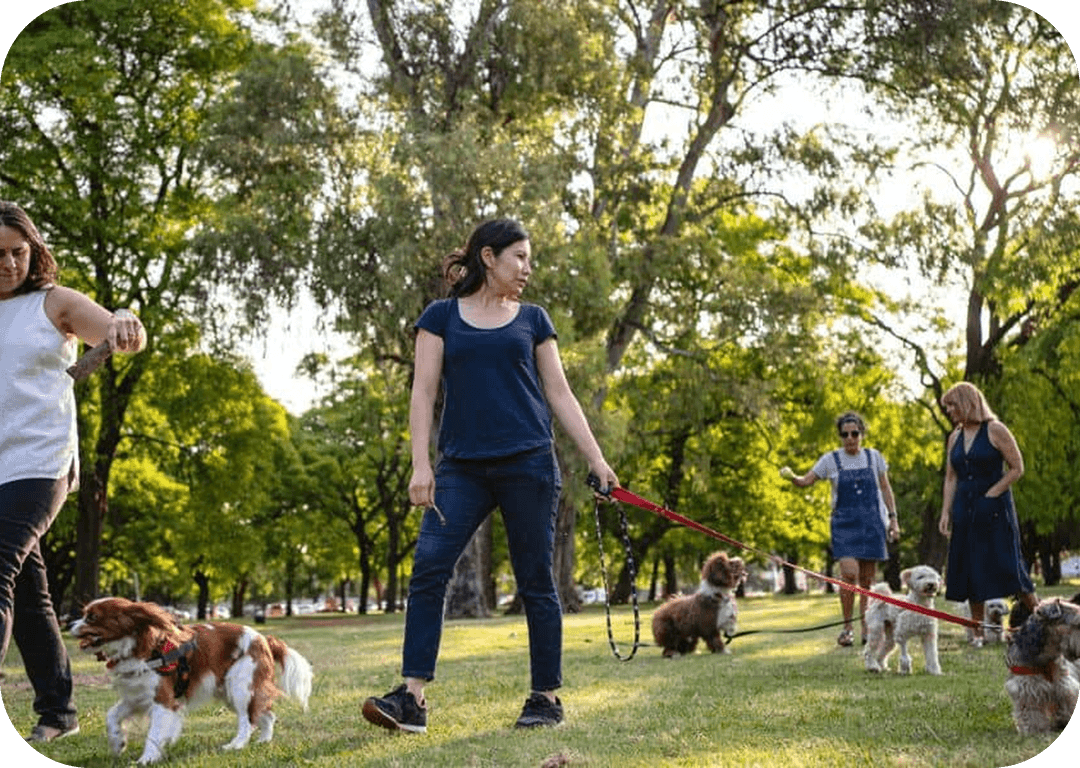 The Pet-Parent Exposome