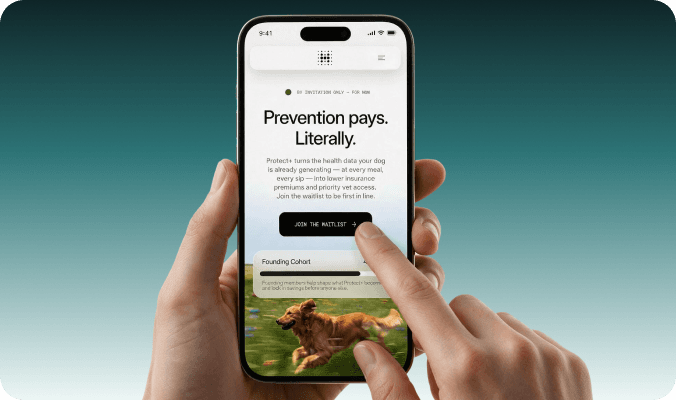 Protect Plus waitlist sign-up displayed on a smartphone