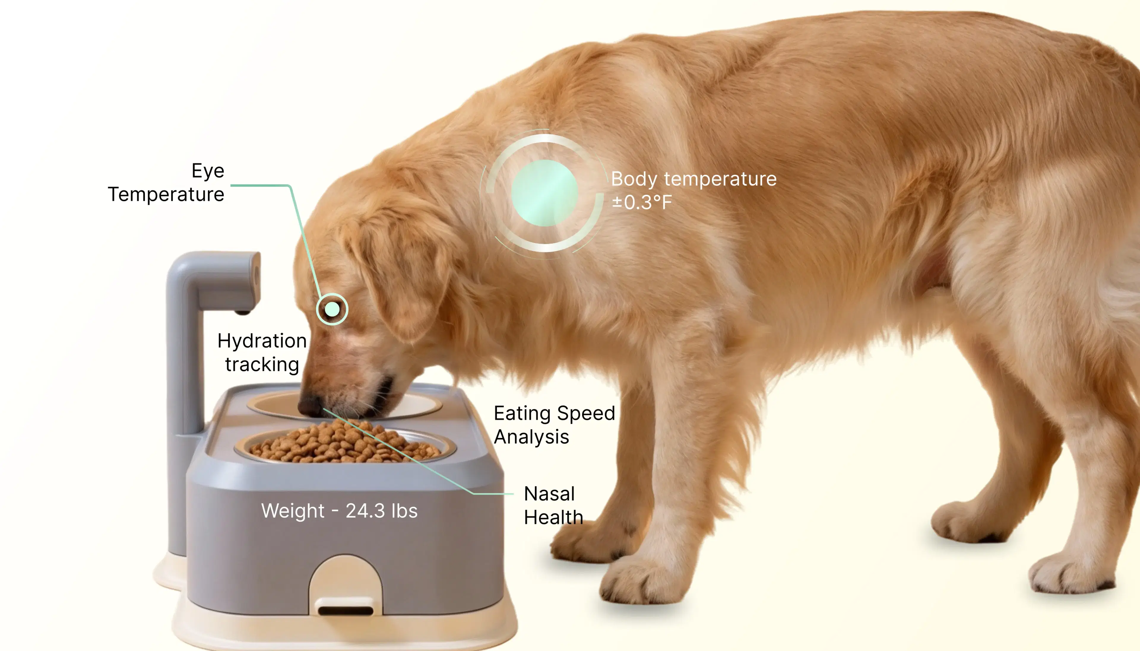 EverBowl tracks 6 key wellness indicators