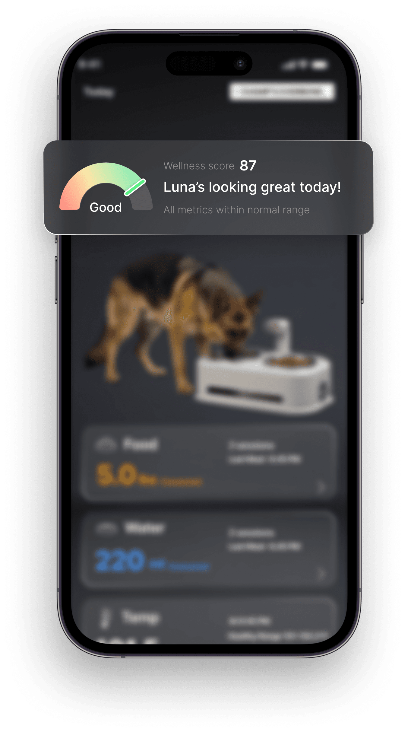 EverBowl app morning wellness check