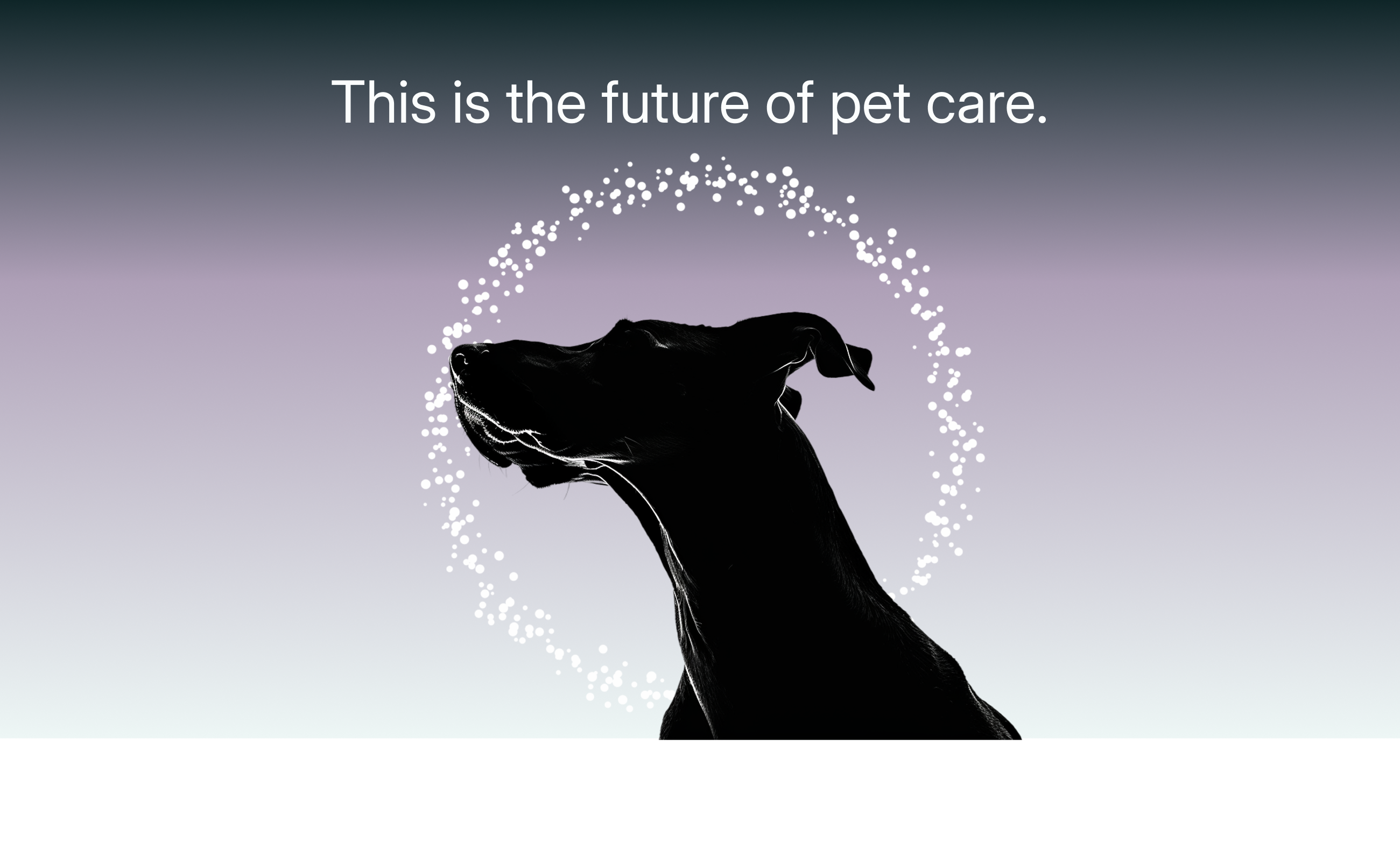 Dog silhouette with light halo